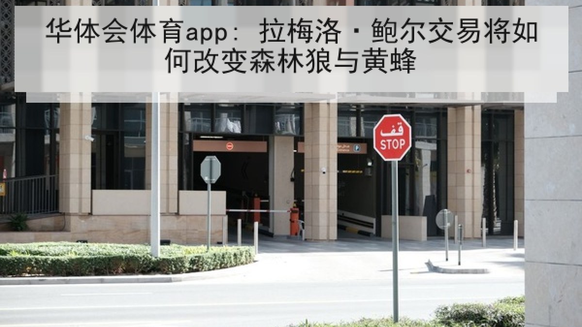 华体会体育app: 拉梅洛·鲍尔交易将如何改变森林狼与黄蜂