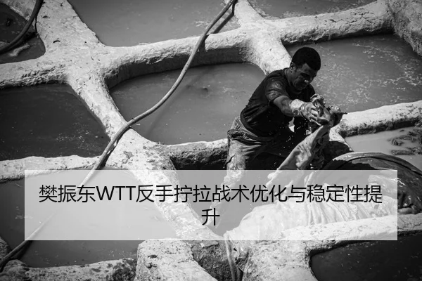 fan-zhen-dong-fan-shou-ning-la-zhan-shu-you-hua-yu-wen-ding-xing-ti-sheng-3-647.jpg